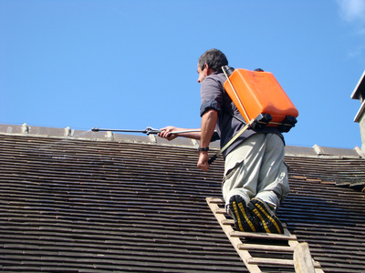 Nettoyage de toiture